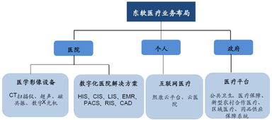 東軟集團 深耕醫療信息化，構建“三駕馬車”驅動的數字未來